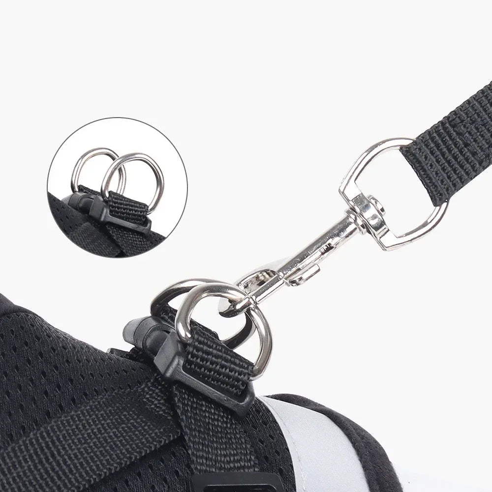 Escape-Proof Mesh Vest for Cats & Small Dogs – Soft Pet Harness with Lead - Pawsitive Cuddles