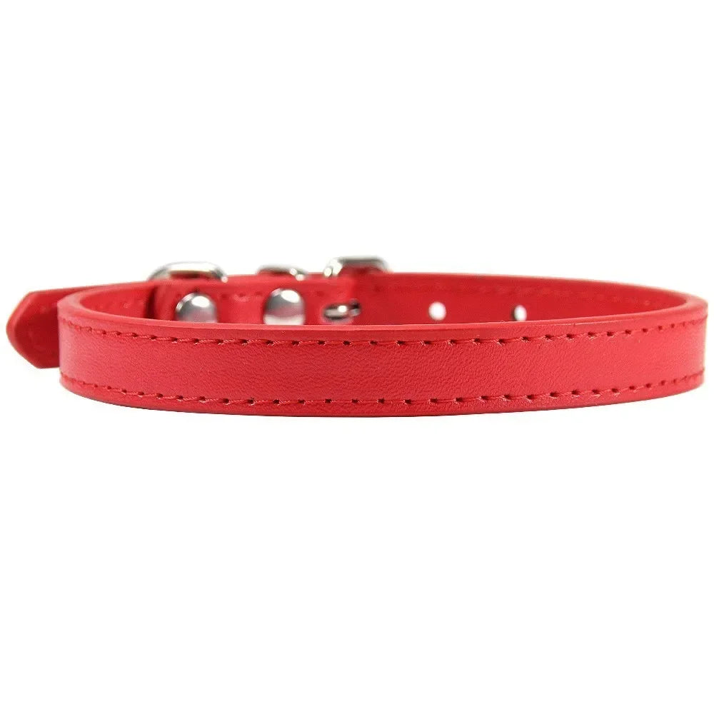 Colorful Leather Puppy & Cat Collar - Pawsitive Cuddles