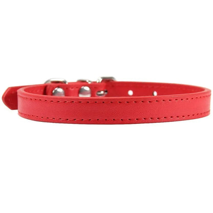 Colorful Leather Puppy & Cat Collar - Pawsitive Cuddles