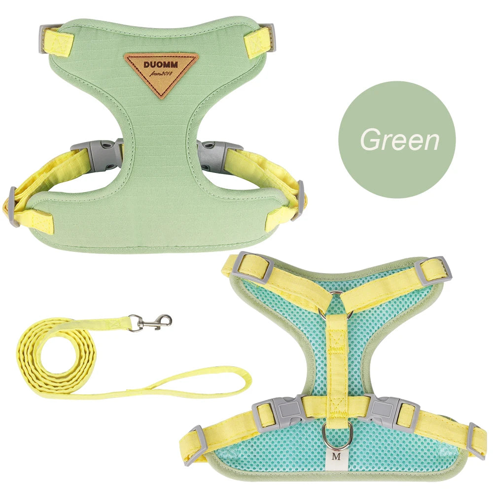 Fashion Outdoor Walking Gear for Small Dogs, Cats, - Pawsitive Cuddles