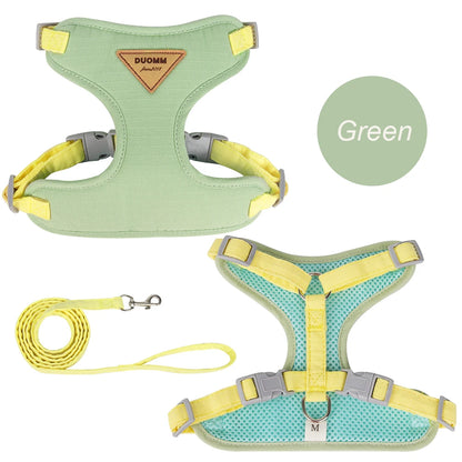 Fashion Outdoor Walking Gear for Small Dogs, Cats, - Pawsitive Cuddles