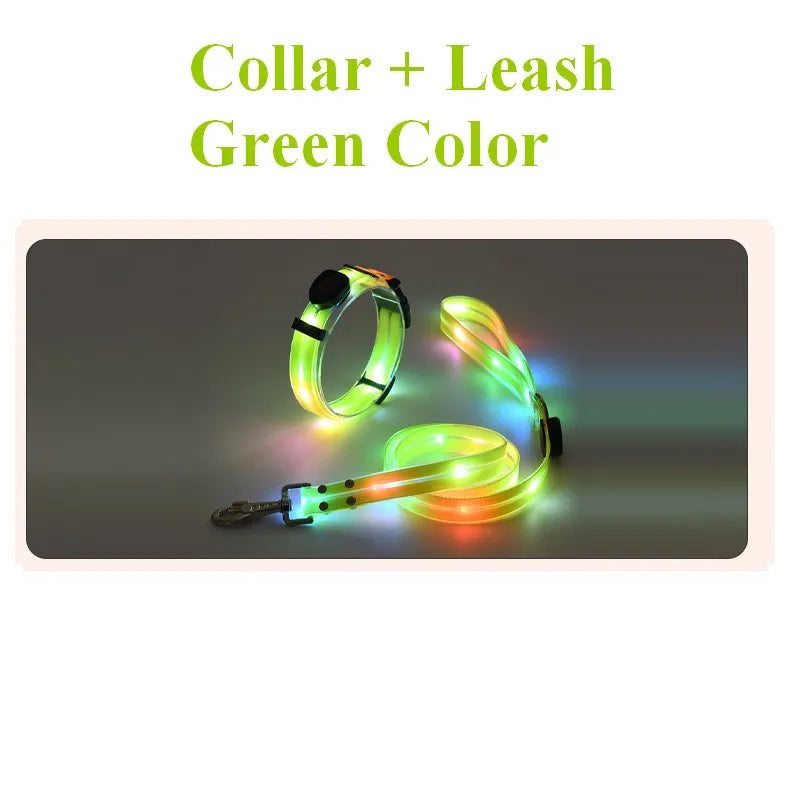 Pet LED Light UP Leash USB Rechargeable - Pawsitive Cuddles