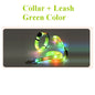 Pet LED Light UP Leash USB Rechargeable - Pawsitive Cuddles