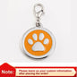 Custom Engraved Name Tag with Paw Print Design - Pawsitive Cuddles