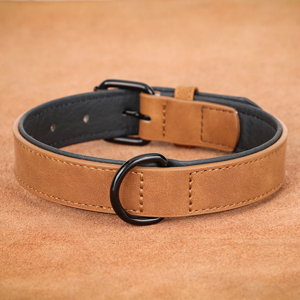 Soft Padded Real Leather Collar for Big Dogs - Pawsitive Cuddles