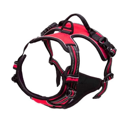 Dog Collar, Harness & Leash Set - Pawsitive Cuddles