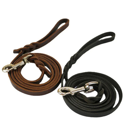 Braided Long Lead for Medium & Large Dogs - Pawsitive Cuddles