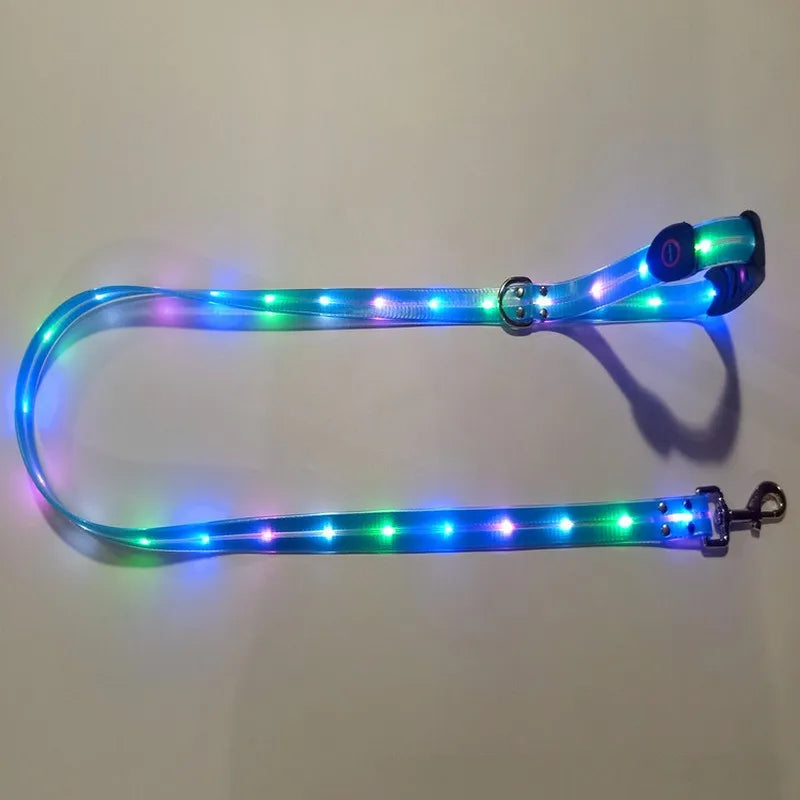 Pet LED Light UP Leash USB Rechargeable - Pawsitive Cuddles