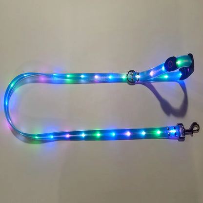 Pet LED Light UP Leash USB Rechargeable - Pawsitive Cuddles