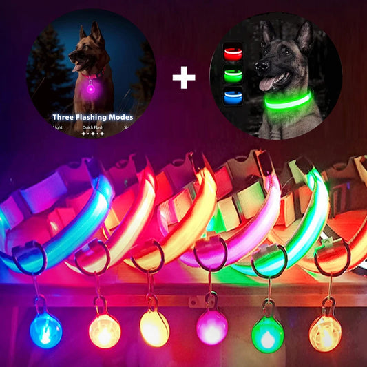 Usb Charging Glowing Dog Collar With Pendant - Pawsitive Cuddles
