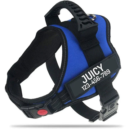 New Dog Harness High Quality Nylon Adjustable - Pawsitive Cuddles