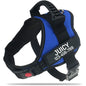 New Dog Harness High Quality Nylon Adjustable - Pawsitive Cuddles