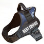 New Dog Harness High Quality Nylon Adjustable - Pawsitive Cuddles