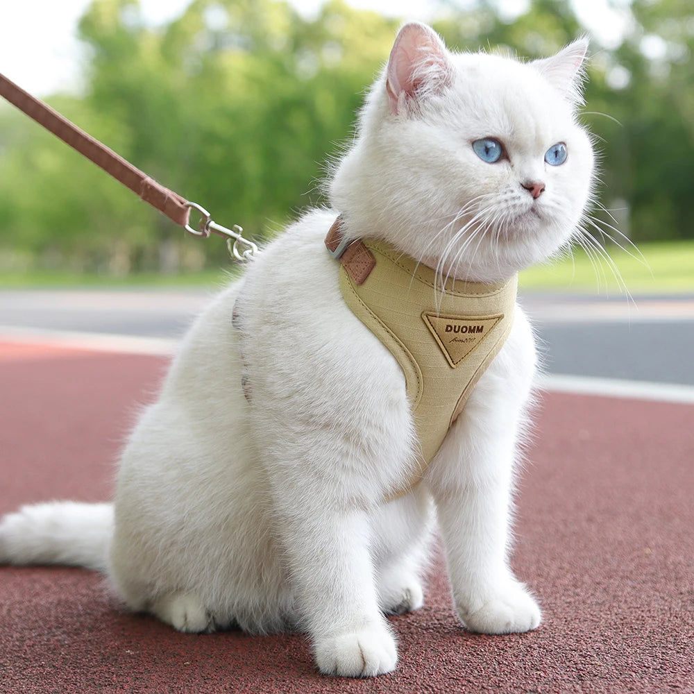 Fashion Outdoor Walking Gear for Small Dogs, Cats, - Pawsitive Cuddles