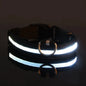 Nylon LED Night Safety Flashing Glow In The Dark Dog Leash Dogs Luminous Fluorescent Pet Dog Collar - Click Mart