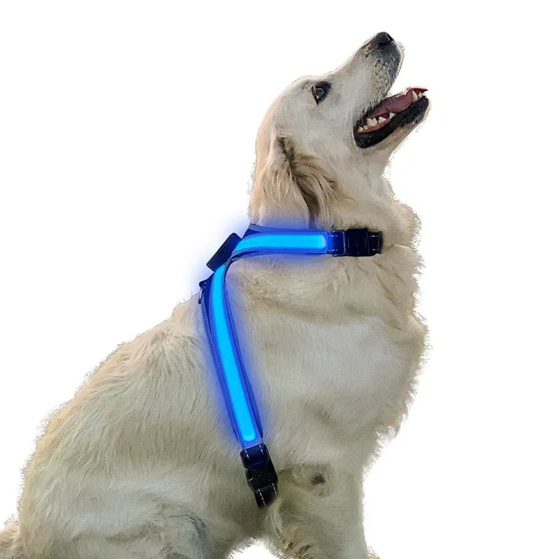 Pet Flush Traction 8 Gears Color Changing Led Collars - Pawsitive Cuddles