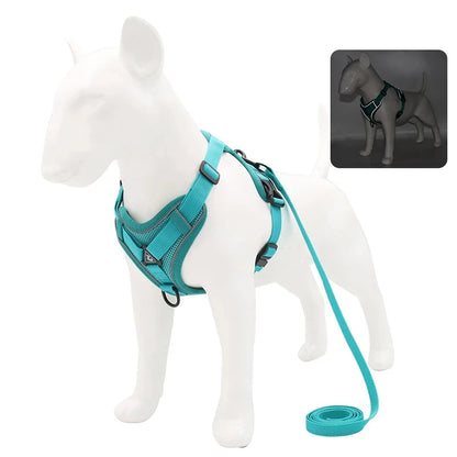 Reflective Pet Harness & Leash Set - Pawsitive Cuddles
