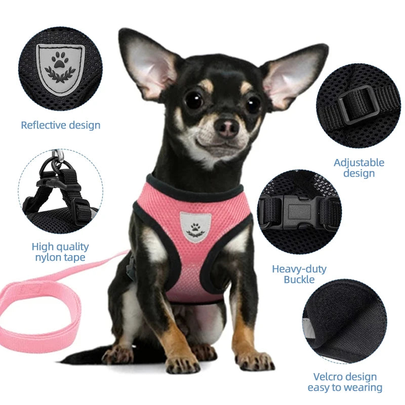 **Cat & Dog Harness Vest – Adjustable Mesh Walking Lead Leash for Small/Medium Pets** - Pawsitive Cuddles