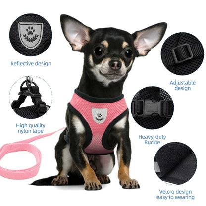 **Cat & Dog Harness Vest – Adjustable Mesh Walking Lead Leash for Small/Medium Pets** - Pawsitive Cuddles