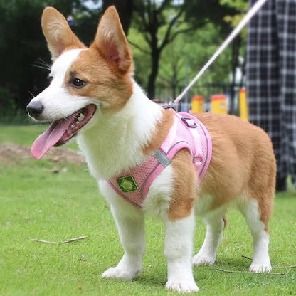 Reflective No-Pull Pet Harness & Leash Set - Pawsitive Cuddles