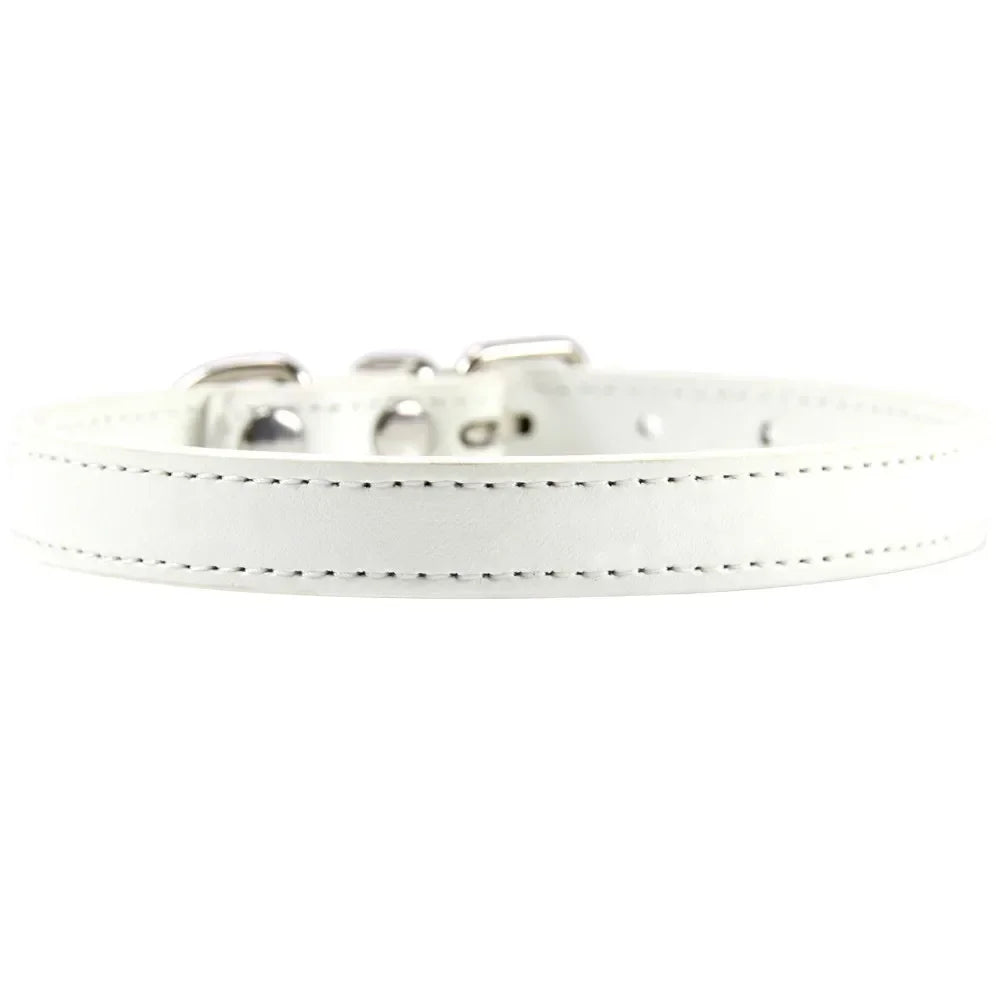 Colorful Leather Puppy & Cat Collar - Pawsitive Cuddles