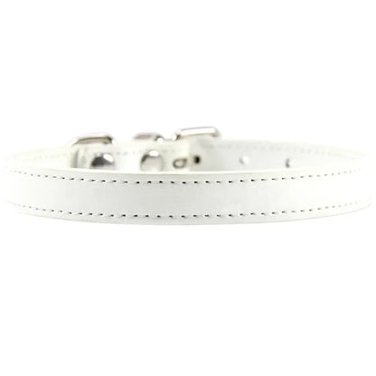 Colorful Leather Puppy & Cat Collar - Pawsitive Cuddles