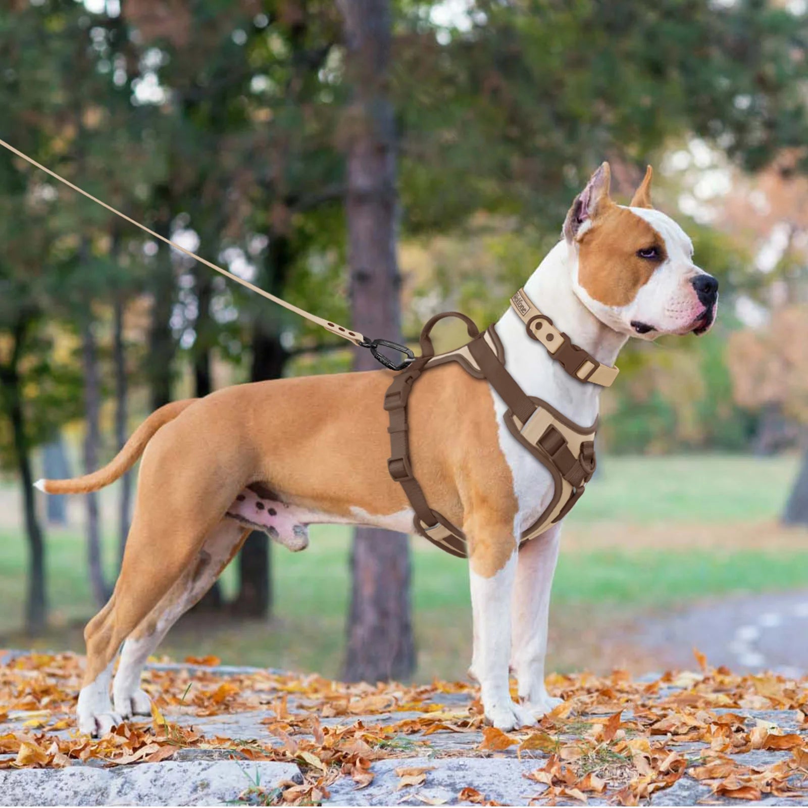 Adjustable Chest Strap - Pawsitive Cuddles