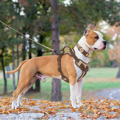 Adjustable Chest Strap - Pawsitive Cuddles