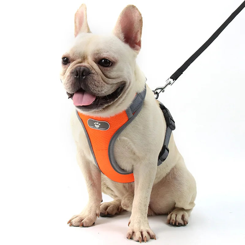 Dog Harness Vest Breathable Adjustable Reflective - Pawsitive Cuddles