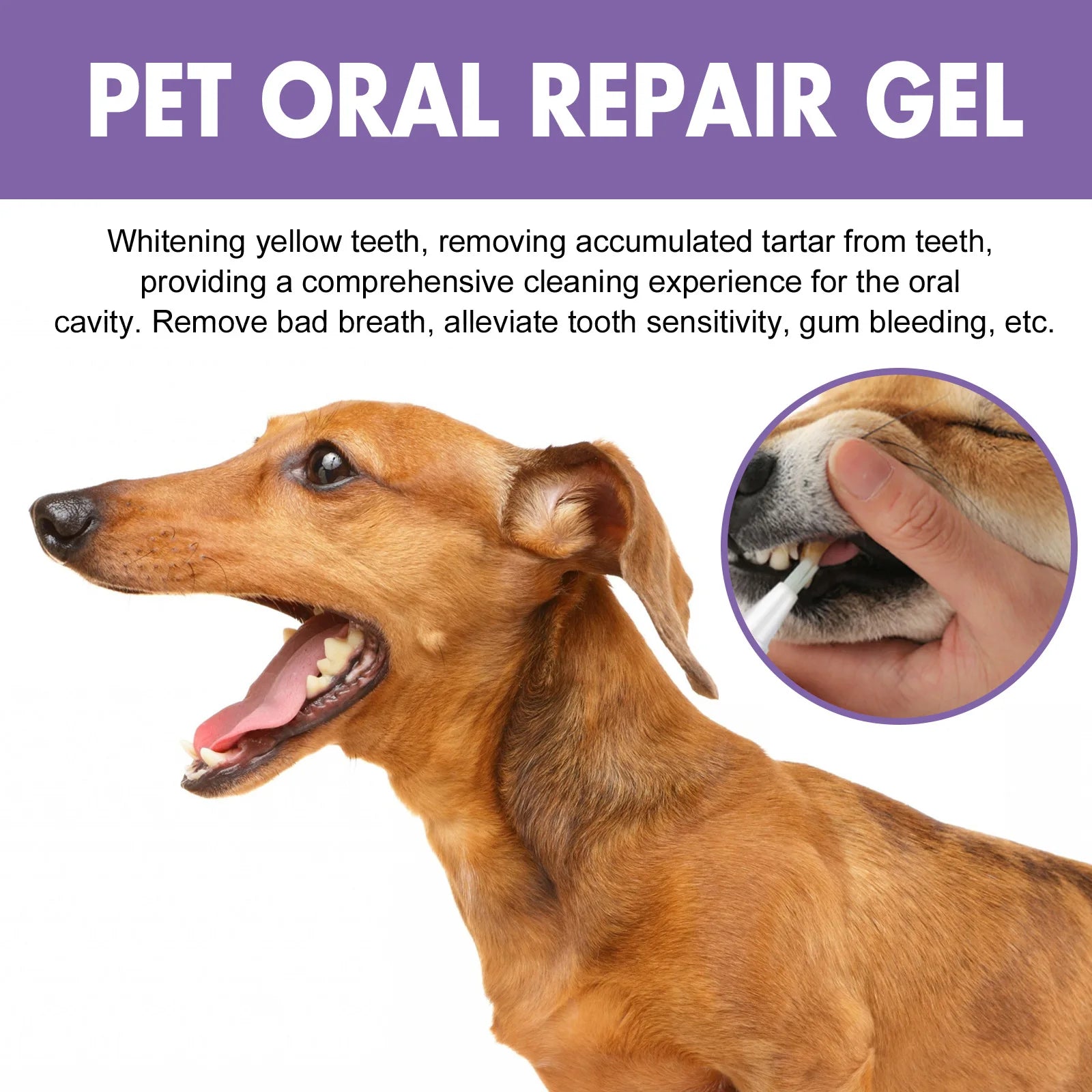 Pet Oral Repair Gel Tartar Removal Odor Eliminator - Pawsitive Cuddles