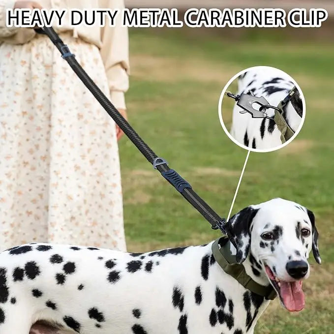 Heavy Duty Reflective Bungee Dog Leash - Pawsitive Cuddles