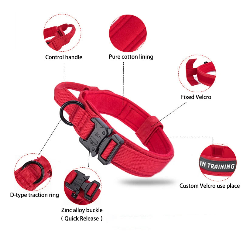 Reflective Nylon Dog Collar & Leash Set - Pawsitive Cuddles