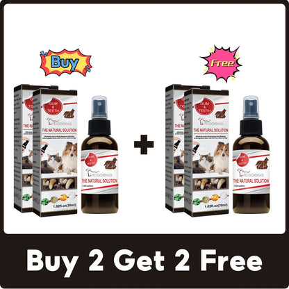 Dental Cleaning & Tartar Removal for Dogs - Pawsitive Cuddles