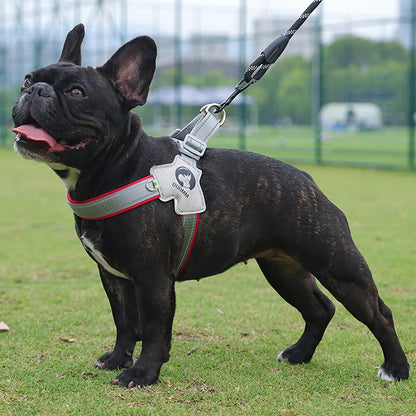 Y-Shaped Dog Harness for Small & Medium Dogs - Pawsitive Cuddles