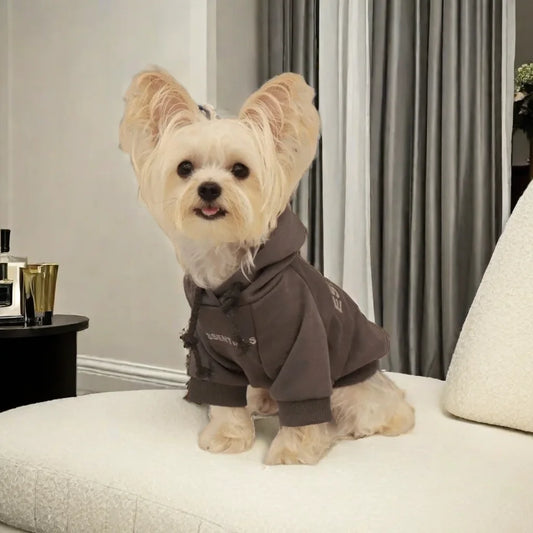 Casual Clothing for Small & Large Dogs and Cats - Pawsitive Cuddles