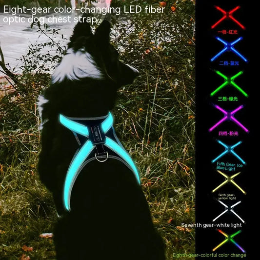 Pet Flush Traction 8 Gears Color Changing Led Collars - Pawsitive Cuddles