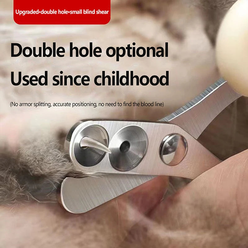 Professional Grooming Scissors for Cats & Dogs - Pawsitive Cuddles
