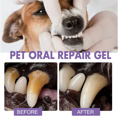 Pet Oral Repair Gel Tartar Removal Odor Eliminator - Pawsitive Cuddles