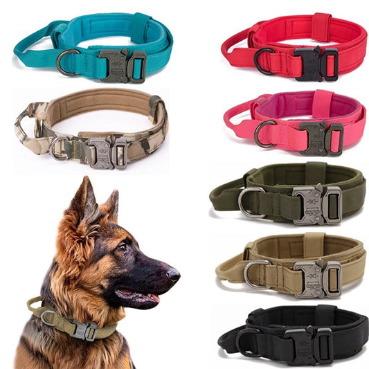 Reflective Nylon Dog Collar & Leash Set - Pawsitive Cuddles
