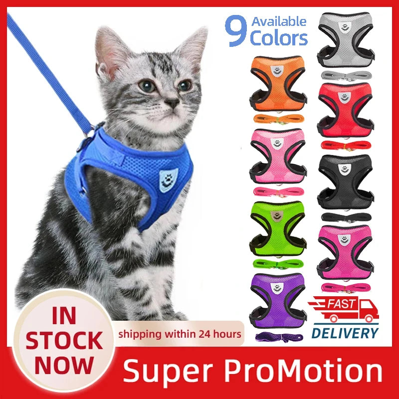 **Cat & Dog Harness Vest – Adjustable Mesh Walking Lead Leash for Small/Medium Pets** - Pawsitive Cuddles