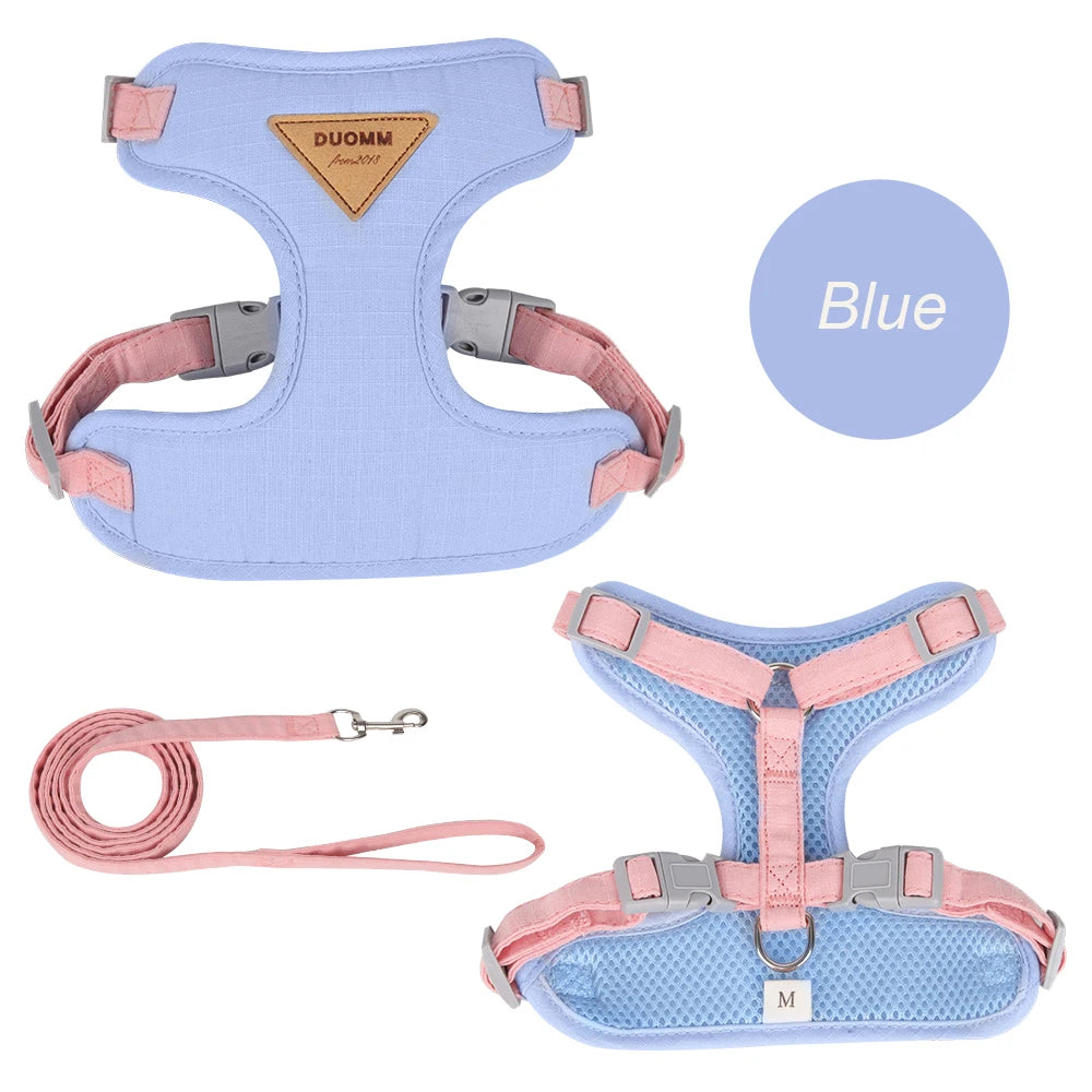 Fashion Outdoor Walking Gear for Small Dogs, Cats, - Pawsitive Cuddles