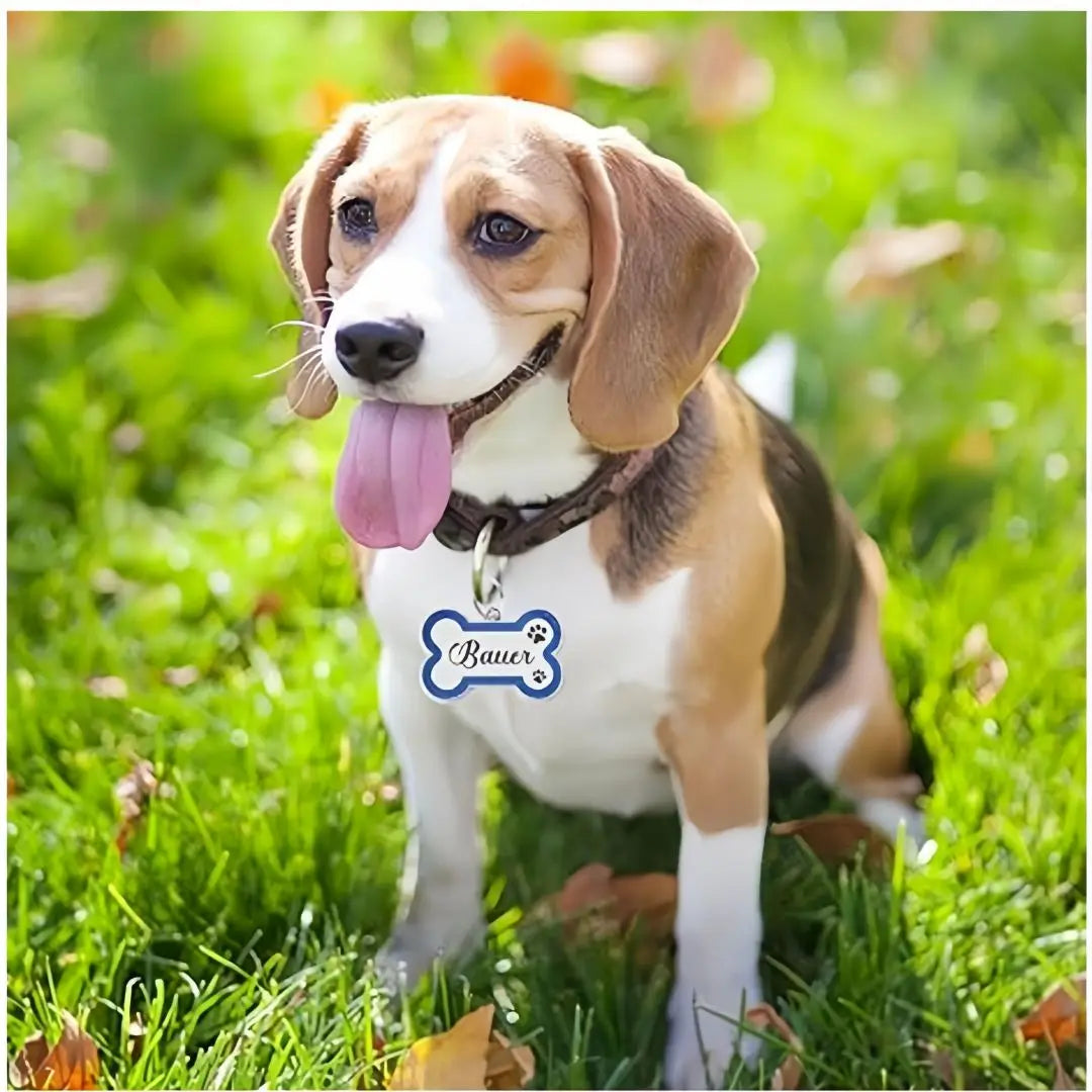 Custom Engraved Name Tag with Paw Print Design - Pawsitive Cuddles