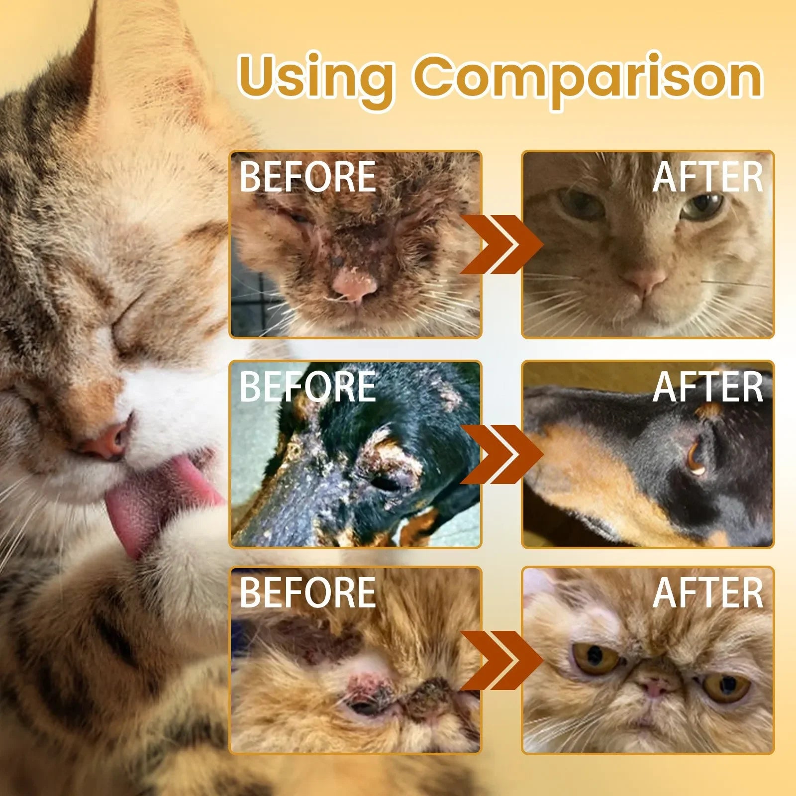 Anti-Itch, Anti-Flea, Mite & Tick Treatment for Dogs & Cats - Pawsitive Cuddles