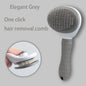 Pet Hair Remover Brush for Dogs Cats - Pawsitive Cuddles