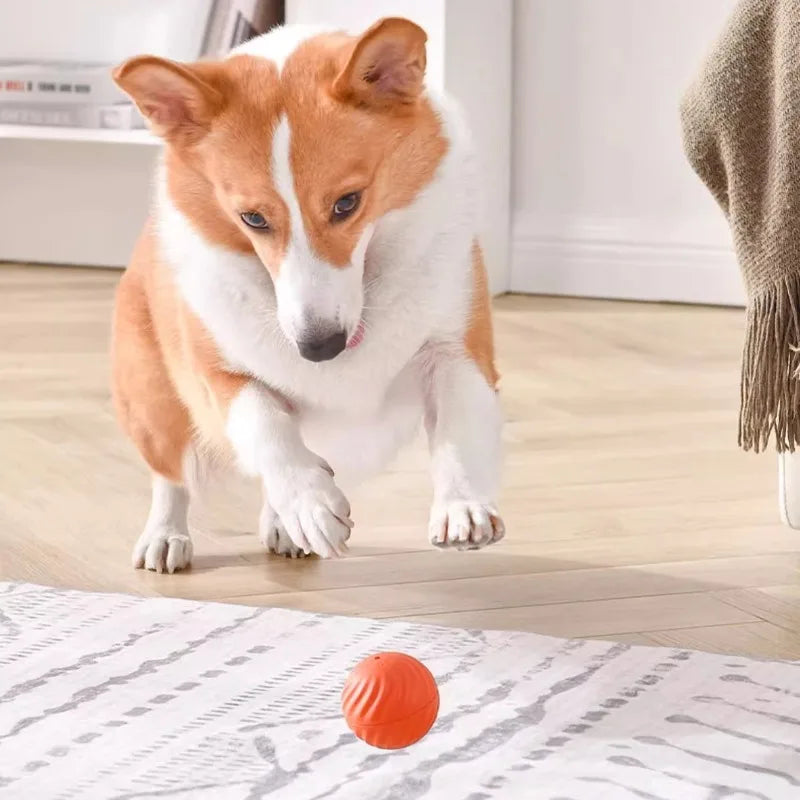 Automatic Pet Toy Ball – USB Charging, Rotating & Jumping Interactive Chew Toy for Dogs - Pawsitive Cuddles