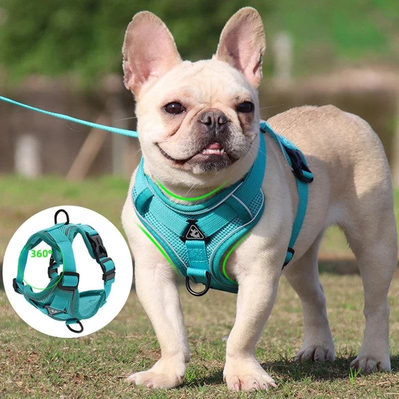 Reflective Pet Harness & Leash Set - Pawsitive Cuddles