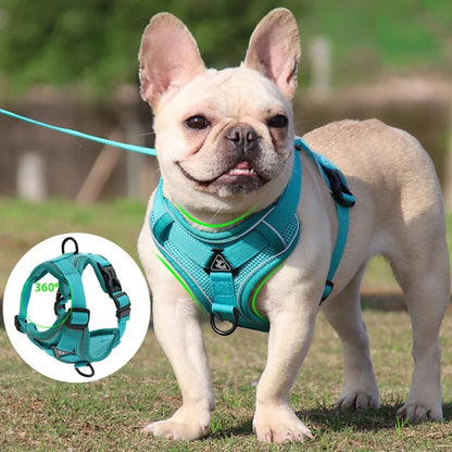 Reflective Pet Harness & Leash Set - Pawsitive Cuddles