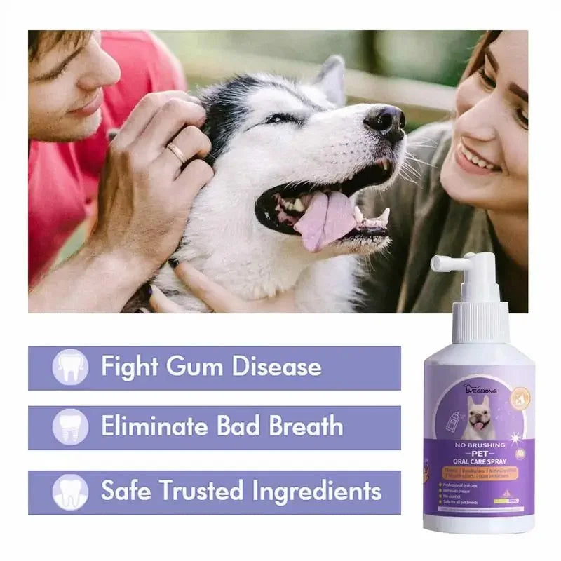 Teeth Cleaning & Deodorizing for Dogs & Cats - Pawsitive Cuddles