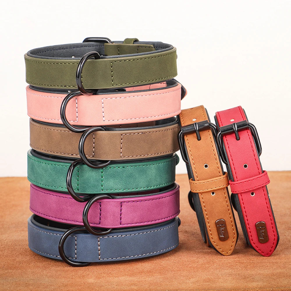 Soft Padded Real Leather Collar for Big Dogs - Pawsitive Cuddles