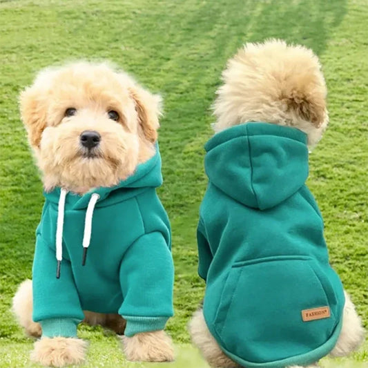 Warm Pet Sweatshirt for Small & Medium Dogs - Pawsitive Cuddles